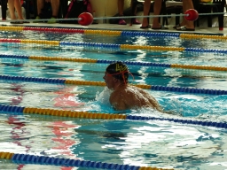 Halle DMM LS